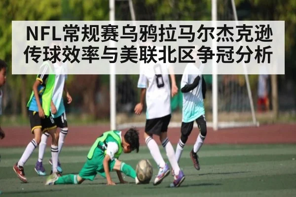 NFL常规赛乌鸦拉马尔杰克逊传球效率与美联北区争冠分析
