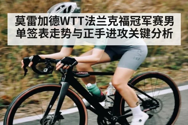 莫雷加德WTT法兰克福冠军赛男单签表走势与正手进攻关键分析